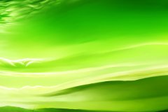 降水采样器的使用方法