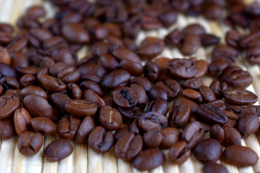 咖啡树理想的种植条件